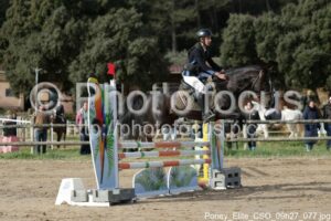 Poney_Elite_CSO_09h27_077.jpg