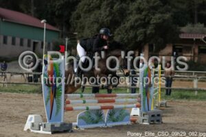 Poney_Elite_CSO_09h29_082.jpg