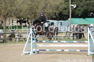 Poney_Elite_CSO_09h29_083.jpg