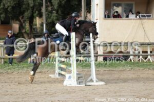Poney_Elite_CSO_09h29_084.jpg