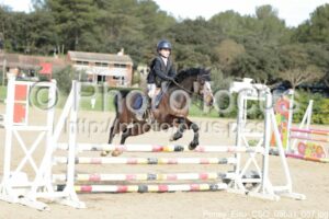 Poney_Elite_CSO_09h31_087.jpg