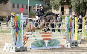 Poney_Elite_CSO_09h31_088.jpg
