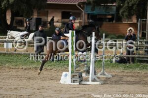 Poney_Elite_CSO_09h32_090.jpg