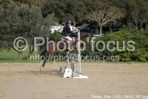 Poney_Elite_CSO_09h32_091.jpg