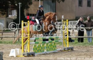 Poney_Elite_CSO_09h34_094.jpg