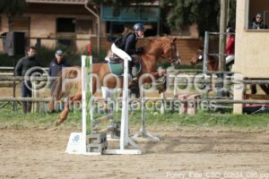 Poney_Elite_CSO_09h34_095.jpg