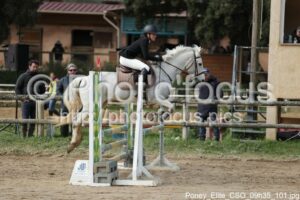 Poney_Elite_CSO_09h35_101.jpg
