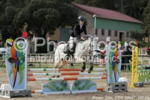 Poney_Elite_CSO_09h37_105.jpg