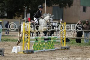 Poney_Elite_CSO_09h37_107.jpg