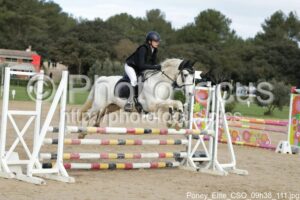 Poney_Elite_CSO_09h38_111.jpg