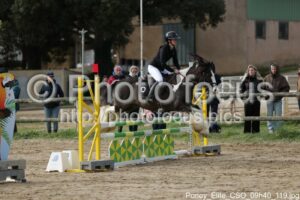 Poney_Elite_CSO_09h40_119.jpg