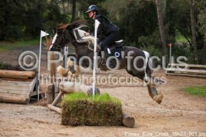 Poney_Elite_Cross_16h23_001.jpg