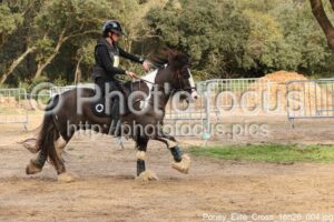 Poney_Elite_Cross_16h26_004.jpg