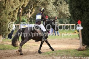 Poney_Elite_Cross_16h28_008.jpg