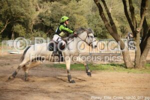 Poney_Elite_Cross_16h30_011.jpg