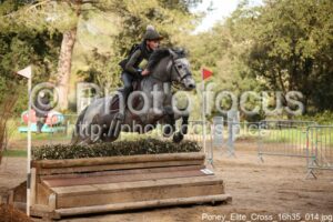 Poney_Elite_Cross_16h35_014.jpg