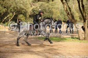 Poney_Elite_Cross_16h35_015.jpg