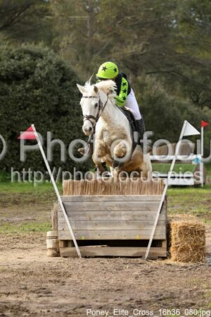 Poney_Elite_Cross_16h36_080.jpg