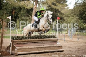 Poney_Elite_Cross_16h37_017.jpg