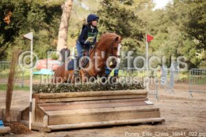 Poney_Elite_Cross_16h41_022.jpg