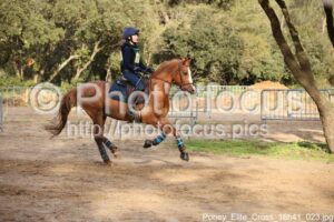 Poney_Elite_Cross_16h41_023.jpg