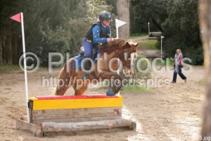 Poney_Elite_Cross_16h43_025.jpg