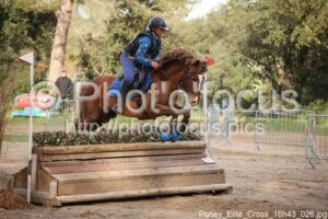 Poney_Elite_Cross_16h43_026.jpg