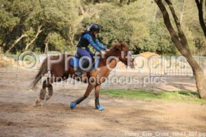 Poney_Elite_Cross_16h43_027.jpg