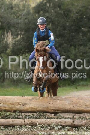 Poney_Elite_Cross_16h43_083.jpg