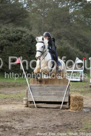 Poney_Elite_Cross_16h46_085.jpg