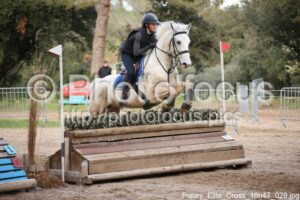 Poney_Elite_Cross_16h47_029.jpg