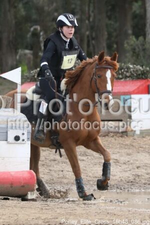 Poney_Elite_Cross_16h48_086.jpg