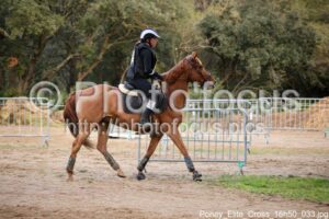 Poney_Elite_Cross_16h50_033.jpg