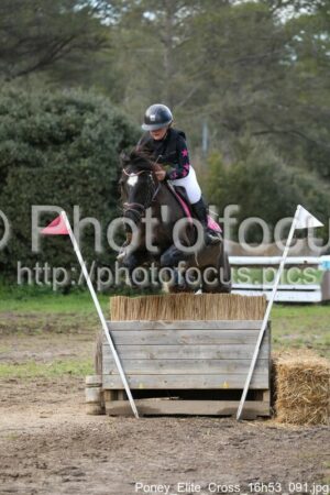 Poney_Elite_Cross_16h53_091.jpg