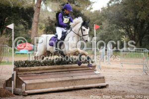 Poney_Elite_Cross_16h56_042.jpg