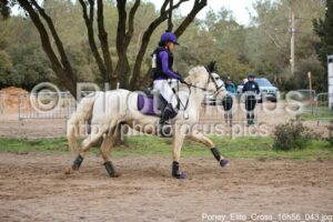 Poney_Elite_Cross_16h56_043.jpg