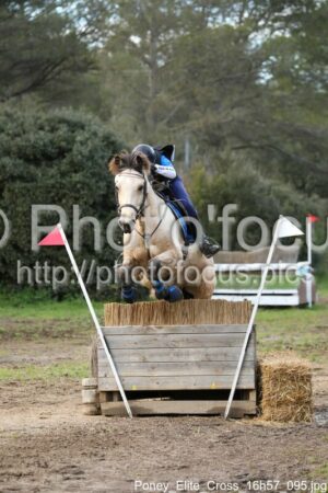 Poney_Elite_Cross_16h57_095.jpg