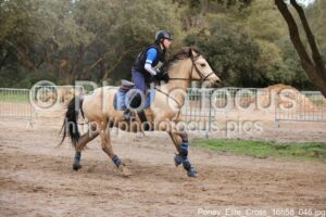 Poney_Elite_Cross_16h58_046.jpg