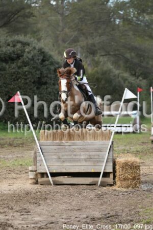 Poney_Elite_Cross_17h00_097.jpg