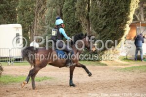 Poney_Elite_Cross_17h15_064.jpg