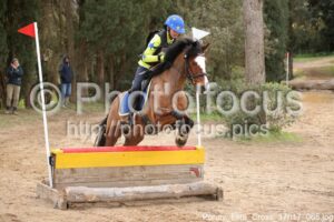 Poney_Elite_Cross_17h17_065.jpg