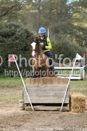 Poney_Elite_Cross_17h17_114.jpg