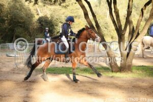 Poney_Elite_Cross_17h20_071.jpg