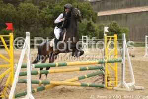As_Poney_2_CSO_16h12_001.jpg