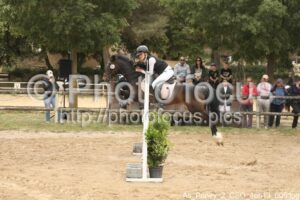 As_Poney_2_CSO_16h13_005.jpg