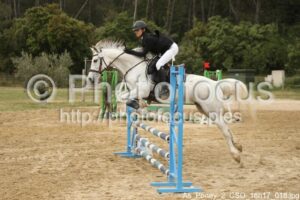 As_Poney_2_CSO_16h17_018.jpg