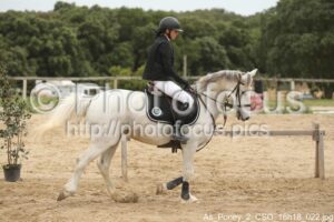 As_Poney_2_CSO_16h18_022.jpg