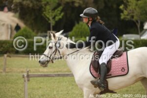 As_Poney_2_CSO_16h20_033.jpg