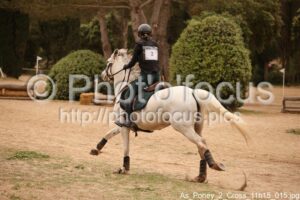 As_Poney_2_Cross_11h15_015.jpg