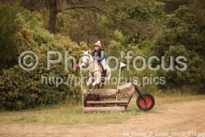 As_Poney_2_Cross_11h17_016.jpg